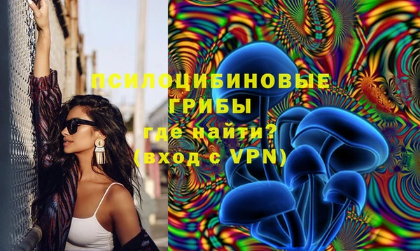 jwh Бородино