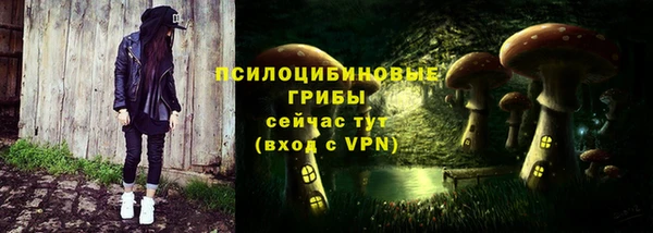 мдпв Бугульма